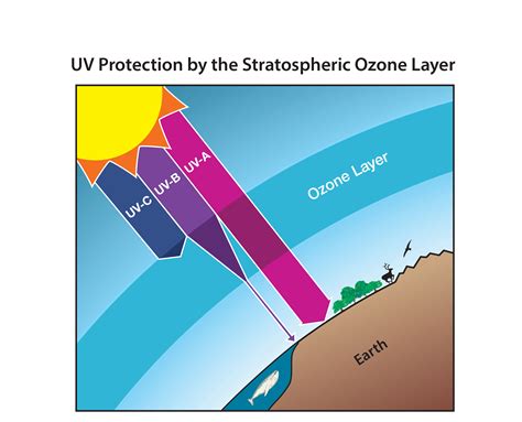 the thickness of stratospheric ozone layer is measured in|Ozone Layer .